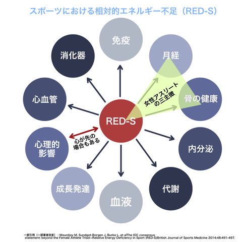 RED-sの図