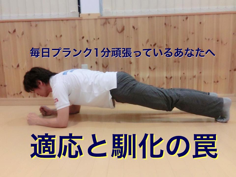 トレーニング効果が出ない原因 適応と馴化 じゅんか 札幌の悩めるバレエ フィギュアスケート ダンサーの為の情報箱