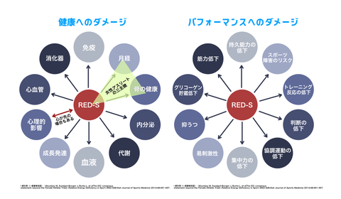 RED-S図