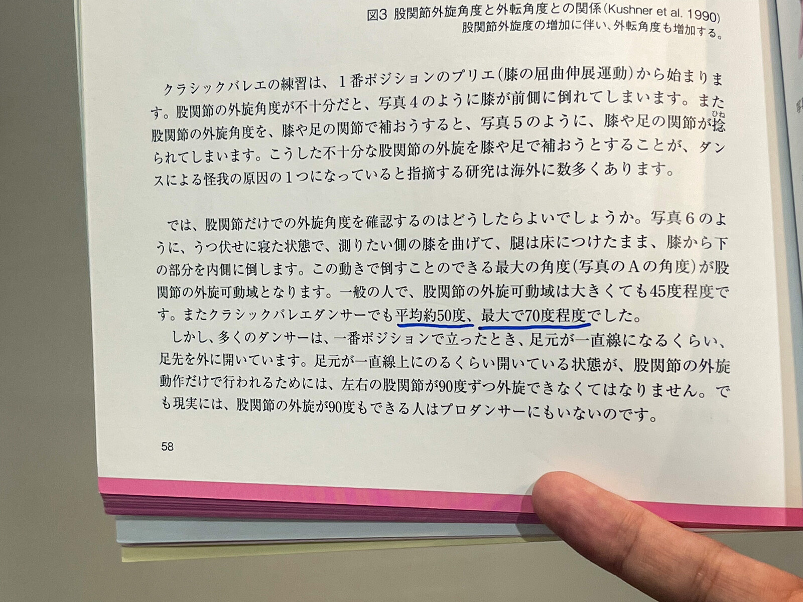 石井久美子さんのターンアウトについての考察 札幌の悩めるバレエ フィギュアスケート ダンサーの為の情報箱