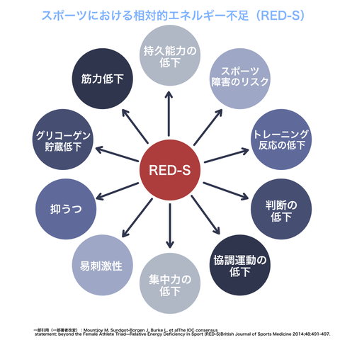 RED-Sの図その２