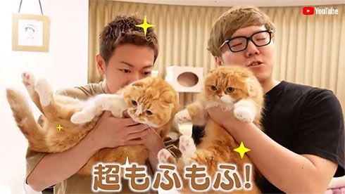 なでられたい人生 たまりません 佐藤健 ヒカキンの愛猫まるお もふこをシャンプーする姿にファンもん絶 Girls速報 なでられたい人生 たまりません 佐藤健 ヒカキンの愛猫まるお もふこをシャンプーする姿にファンもん絶 Girls速報