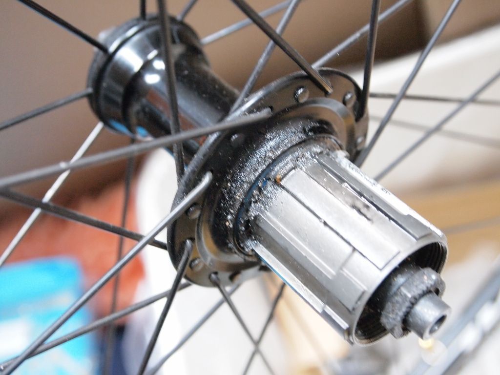 ☆ラチェット音＠Most WILDCAT F3☆ : 多苦労'S TALK