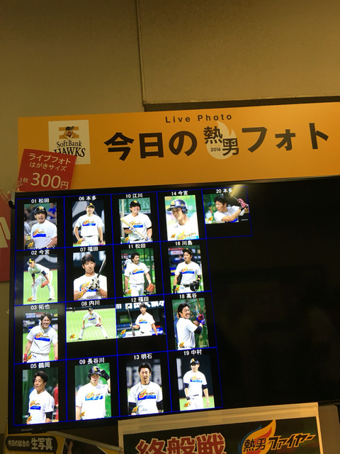 パネル写真