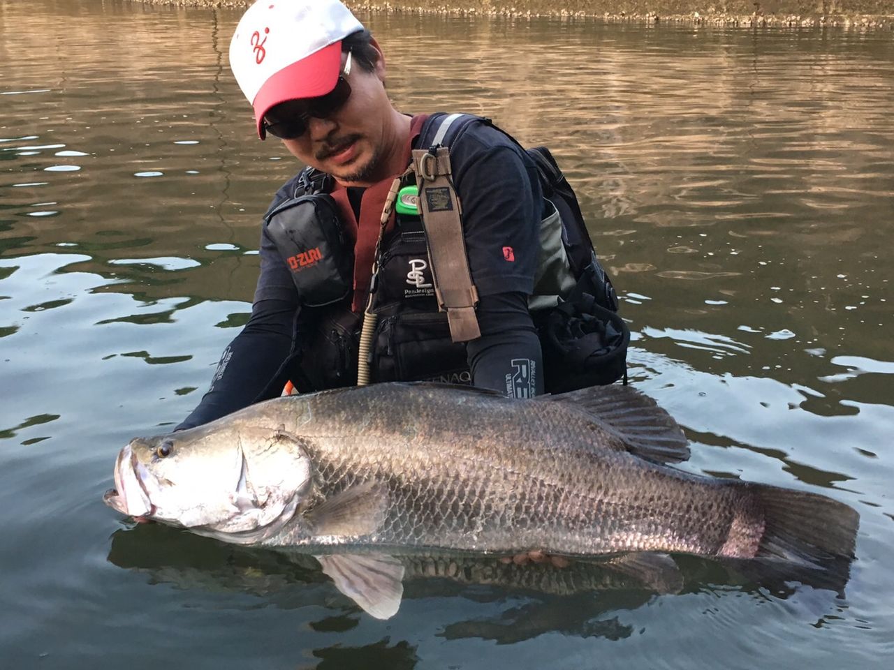 烏賊 鬼夫婦 16年の鬼夫婦 お魚編