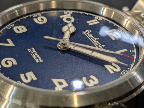 PXL_20241103_081159343-1