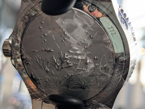 PXL_20241212_043529651-1