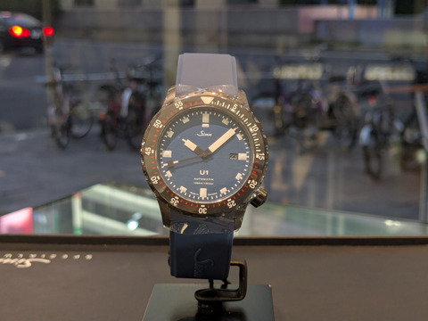 PXL_20250301_085458175-1.MP