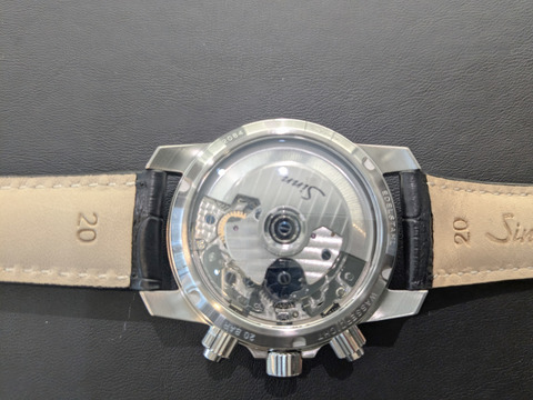 PXL_20240816_053917290-1.MP