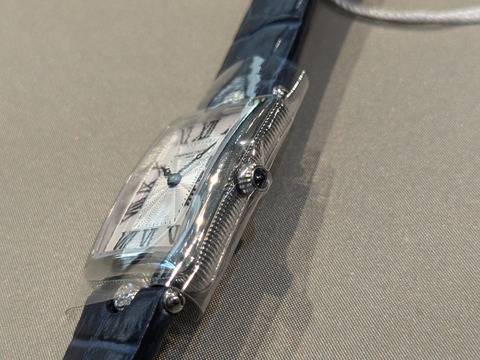 PXL_20241018_060147018-1