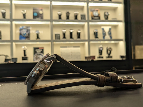 PXL_20240723_063852404-1