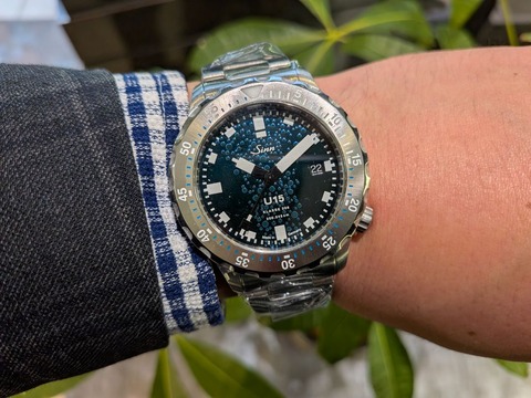 PXL_20260302_080803076.MACRO_FOCUS