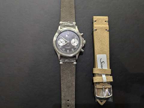 PXL_20240825_094938533-1