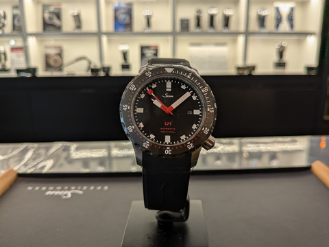 PXL_20240712_070915718-1