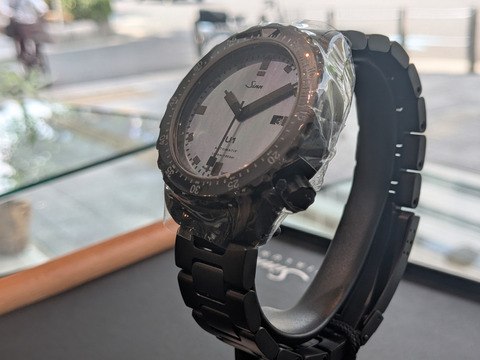 PXL_20250808_051930464-1