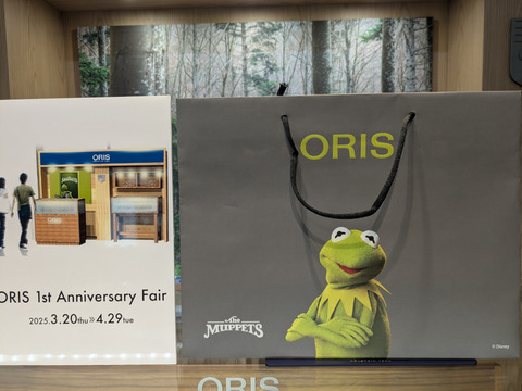 PXL_20250321_091545424-1