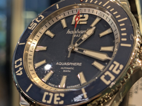 PXL_20241212_074453380-1