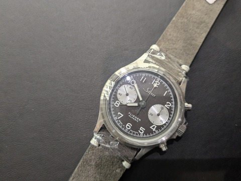 PXL_20240825_094835826-1