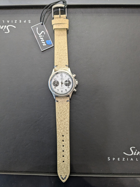 PXL_20240729_063942402-1