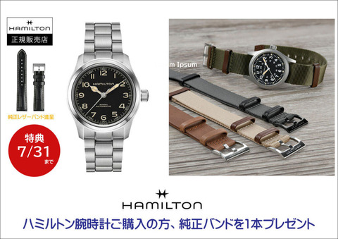 ハミルトン7_31