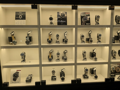 PXL_20250204_100123793-1