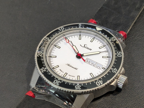 PXL_20250220_092451679-1