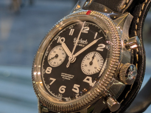 PXL_20250224_083207266-1