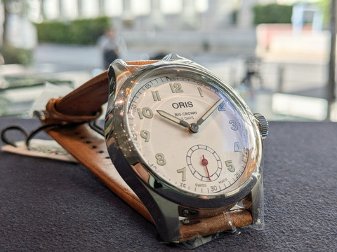 PXL_20241119_021711637-1