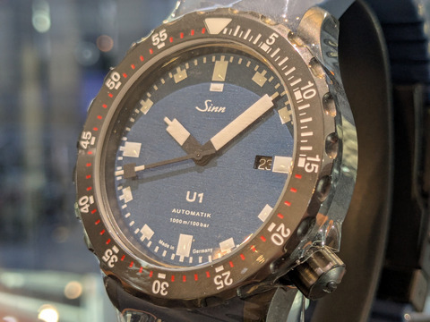 PXL_20250301_085507876-1