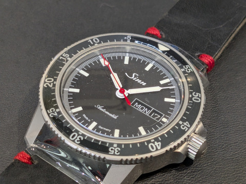 PXL_20250220_092457133-1