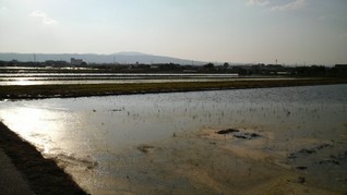 2010060517270001