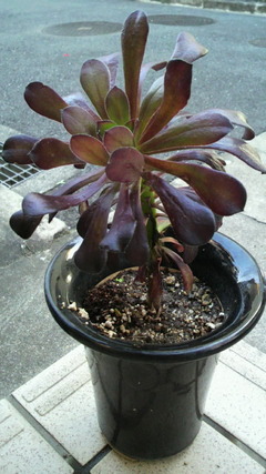 2011062517580002