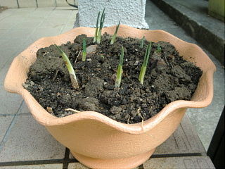 CIMG0571_320