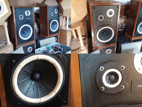 DS-251MKⅡ 改造品 人見氏持参