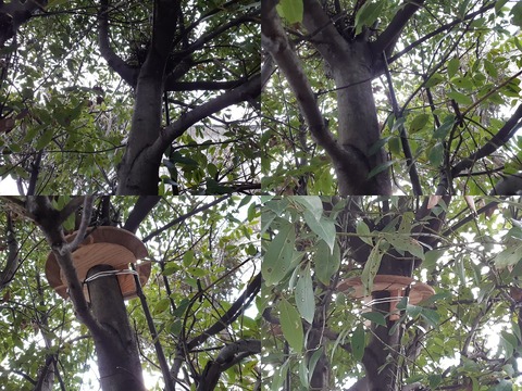 試作品の取付状況