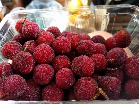 IMG_20190708_073816 山桃