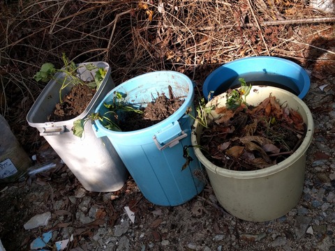 芋 IMG_20190525_162122