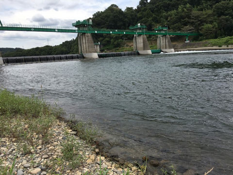 涸沼 那珂川パトロール Rodmagic ヨタログ Next Stage