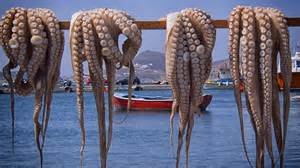 pulpo1