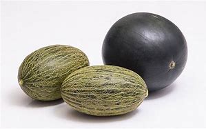 melonsandia