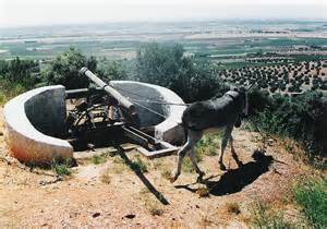 PozoyBurro