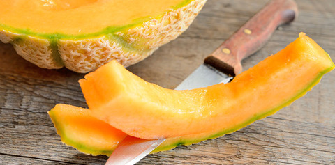 melon_cantalupo1