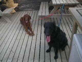 will&kai