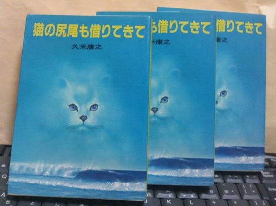 抜き足差し足忍び足 : 猫の交差点 
