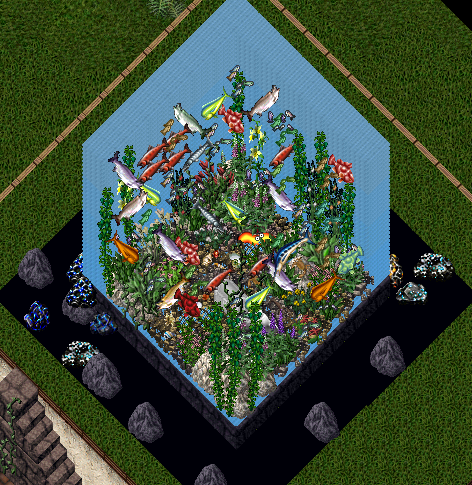 14443214000605