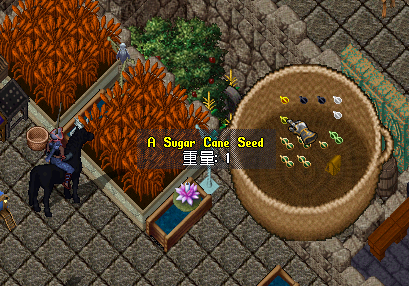 SS042921000118