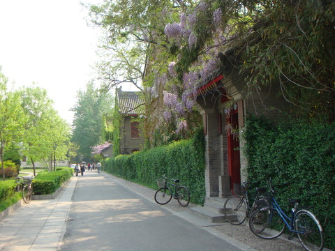 DSC00485