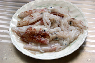 ヒイカのトマトソースパスタ パスタ部活動記 ヒイカのトマトソースパスタ パスタ部活動記