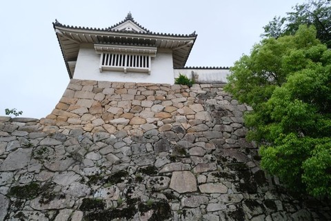 DSCF2319