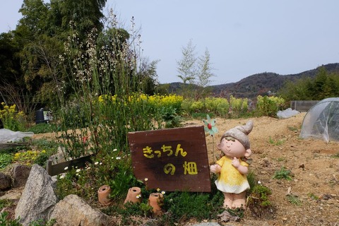 DSCF0750